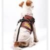 Cold Weather Protections Dog Coat for Large Dog Windproof Comfortable Winter Warm Jackets for Breeds Outdoor Activity