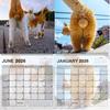 2026 Cat Ball Calendar Jan.2026 - Dec.2026 12 Monthly Wall Calendar with Hilarious Feline Moments Gag Gift for Cat Lovers