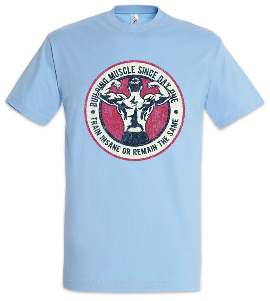 

Train Insane Or Remain The Same T-Shirt Weightlifting Gainz Curls Training Coach 4XL