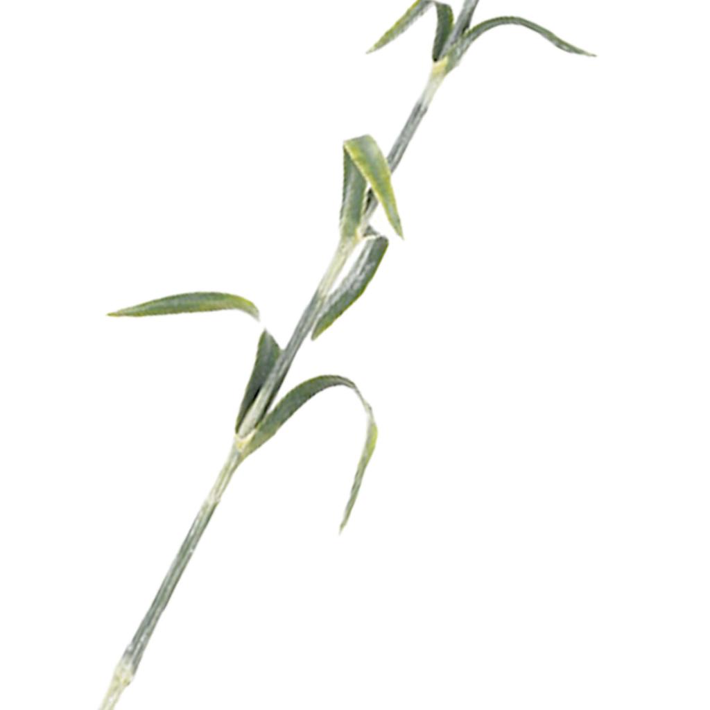 Floral Arrangements Artificial Dianthus Flower Artificial Pom Pom Flower  Photography Props