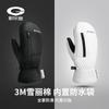 Guanti Invernali Unisex da Sci Snowboard Ciclismo Sport all'Aria Aperta Antivento Impermeabili Touchscreen Caldi Foderati in Thinsulate