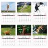 Cartoon Animal Pissed-off Cats Calendar 12 Month Working Dog Planner Wall Calendar  Home Decoration