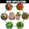 Degradable Paper Pulp Seedling Nursery Pots Eco Friendly Germination Planter Cups For Garden Flowers Herbs Orchard Plant Cultivation