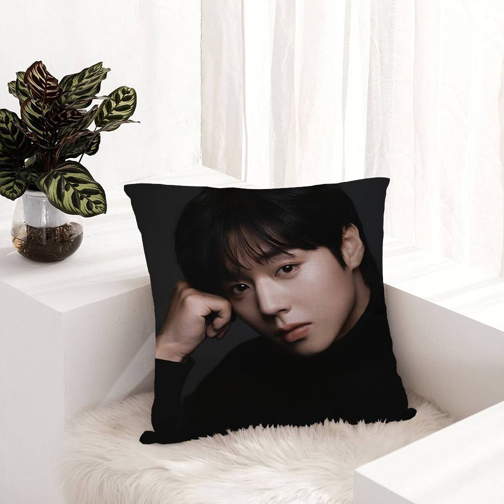 Korean P-PARK JI HOON Anime Pillow Cushion Cover Pillowcase Living Room Sofa Home Decor Customized