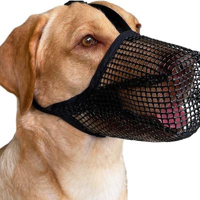 Perros – Manuales de entrenamiento y conducta