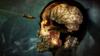 Zombie Army 4: Dead War - PS4 [CERO Rating "Z"]