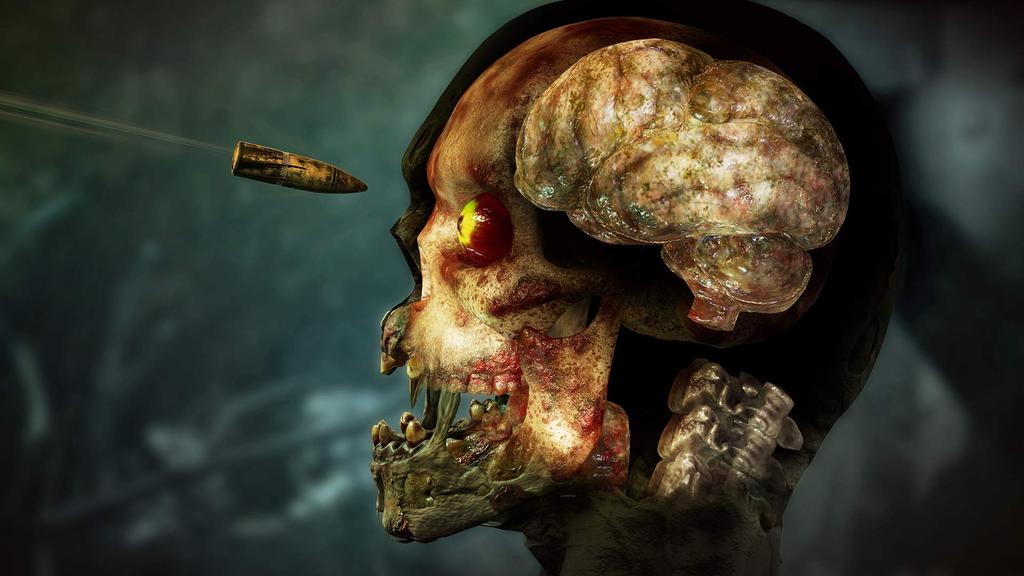 Zombie Army 4: Dead War - PS4 [CERO Rating "Z"]