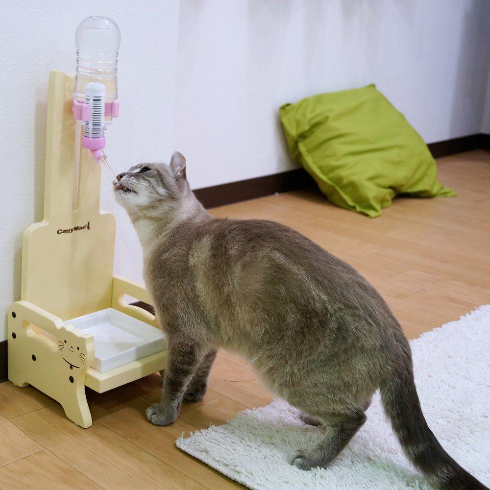 CattyMan Gulp Water Purification Stand for Cats