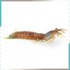 Underwater Animal Pvc Pipi Shrimp And Crab Sculptures Pack With Lifelike Marine Creatures For Aquarium Display