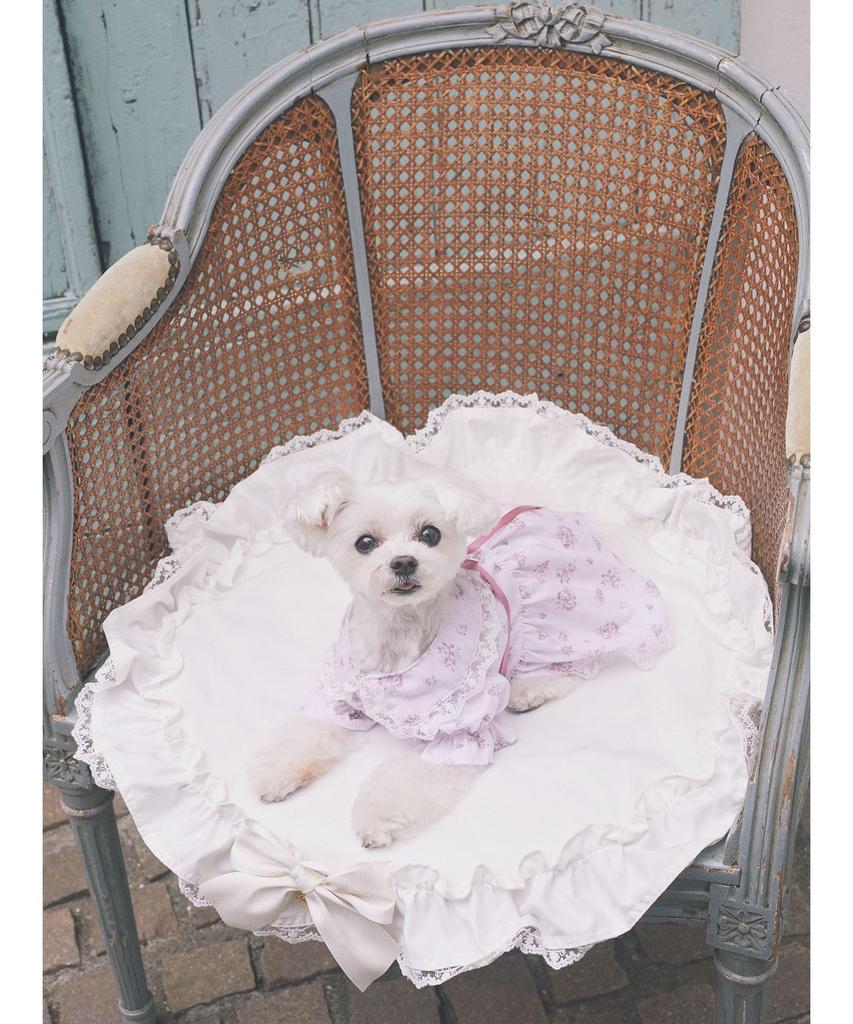 De Apparel Frill Mata dla Różowego [Maison Fleur] Kobiety,