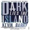 Dark Lies the Island by Kevin Barry Paperback Book 9780099575078