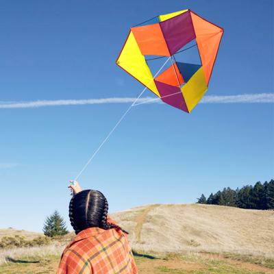 Kids Adults 3D Kite Easy To Fly Heavy Duty Outdoor Beach Park Lawn Beginner-friendly Family Toddlers Boys Girls Colorful Grids Flying Kite Toy