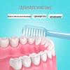 Dr. Tooth DT8501 Dazzling Gum Care Soft Bristle Toothbrush