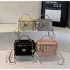 Women's 2025 Quilted Chain Bag: New Elegant Design, Autumn/Winter Trend, Versatile Crossbody Tote & Bucket Style.