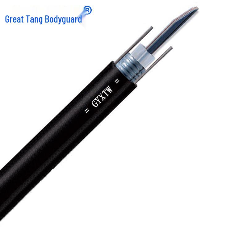 Datang Bodyguard GYXTW Outdoor Armored Fiber Optic Cable