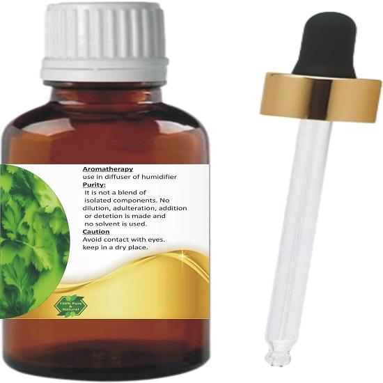 Levenmooi Cilantro (Coriander leaf) (Coriandrum sativum) Pure & Natural Therapeutic Grade Essential Oil Glass