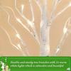 4PC 60CM Birch Tree Lights with Adjustable Branches, Battery Powered LED Tree Lamp for Christmas, Party, Bedroom & Outdoor Decor
