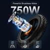 Jansno X50 250W motor+48V14AH battery, 20 * 4.0-inch tires, disc brake, Ximano 7-speed, maximum speed 40-45KM/H electric bicycle