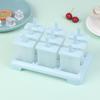 Iskrem Popsicle Form DIY Iskremmaskin Hjemmelaget Isboks Med Plastpinne Ispinneform Isbitbrett Kjøkkenredskaper