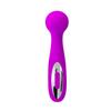 Wade Mini Massager Purple Color