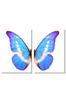 Butterfly Art Poster, A2, Set of 2, Stylish Interior Wallpaper Poster, Made In Japan, Color, Monochrome... (Color)