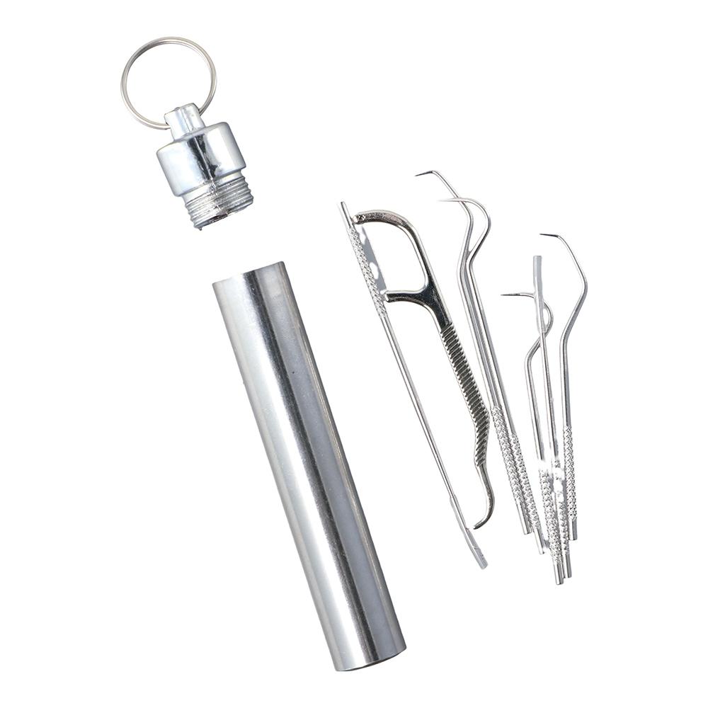 Tool Oral Care Tooth Pick Toothpick Pocket Set Stainless Steel Toothpick Set Keychain Holder