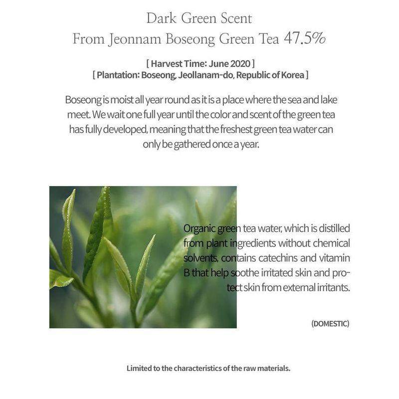 SIORIS Falling Into The Rose Mist