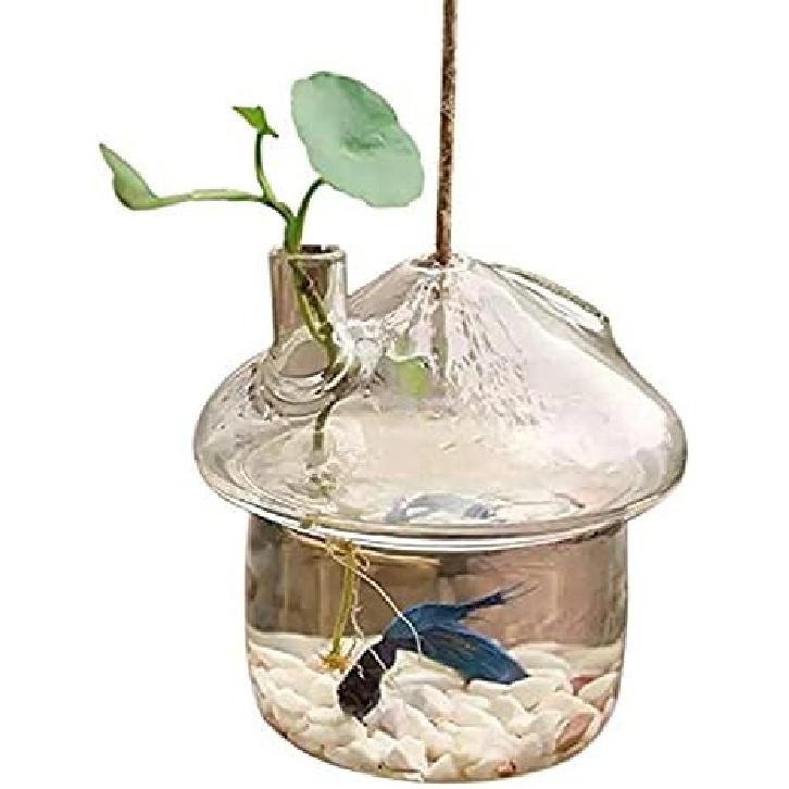

Аквариум для рыбок Аквариум Подвесная стеклянная ваза-плантер в форме гриба Контейнер-террариум для аквариума с петушком Декор для дома и сада (цвет : чистый) Clear,Aqua