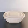 Disposable Corn Starch Takeout Food Containers