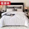 Hengyuanxiang All-Cotton Antibacterial Jacquard Tussah Silk Summer Quilt