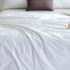 Arctic Velvet Meina Pure Silk Quilt