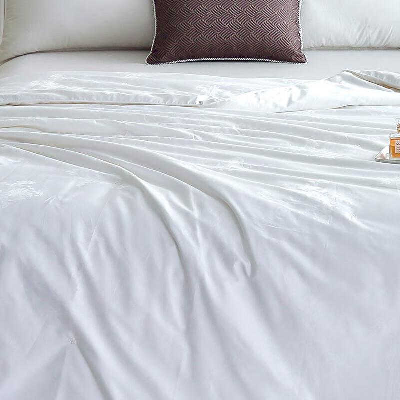 Arctic Velvet Meina Pure Silk Quilt