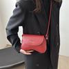 Premium Saddle Small Square Bag Women's 2025 Spring New Fashion Shoulder Bag Delivery Messenger Bag