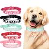Pet Collar Rhinestone Dog Collar Lettering Nameplate Dog Neck Ring Anti-loss Removable Flower Cat Scarf
