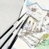 Professional Watercolor Brush Set with Squirrel Hair - Artist Quality, Black Swan Round Tips, Ideal for Beginners & Gouache Artists