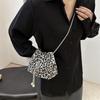 Leopard Print Pump with Bucket Bag Women's 2025 New Autumn Fashion Trendy Simple Chain Shoulder Bag Fashionable Messenger Bag