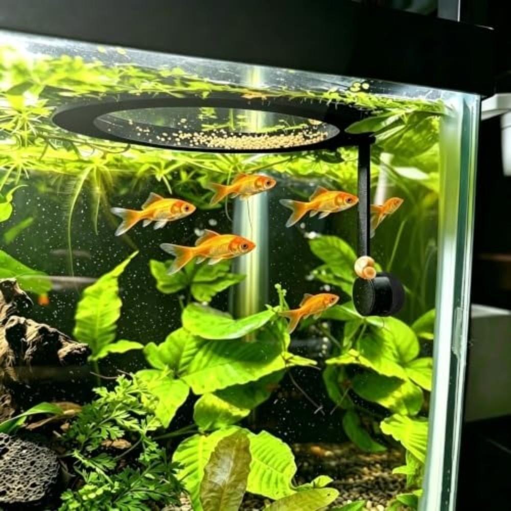 Magnetic Mounting Aquarium Feeding Ring Adjustable Fish Food Hoop  Aquarium