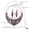 [KK Solis] Flower Luxury Rhinestone Necklace & EarringsClip-on Earrings Set  Bridal, Stage, Concert, Dance Accessories, Ballroom Dance, Belly Dance,
