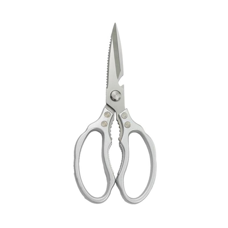 Stainless Steel Scissors