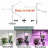 XYM-Grow Light(4000+RB)-TX-WX 10W Indoor Succulent Plant Vegetable Fruit Growth Lamp Full Spectrum Plant Light Bar
