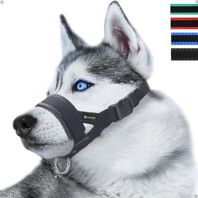 Köpek – Köpek Tasmaları ve Tasma Kayışları