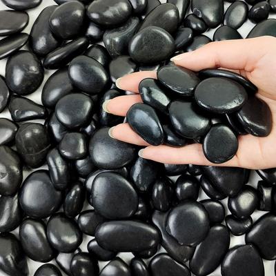 FANTIAN Black Black Shine Stone Shine Natural Black Gravel for River Ornamental Garden Home Outdoor Fountain [Premium Gravel] (Colored Stone) -