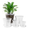 2025+ Clear Pots for Plants with Saucers,10 Pcs 4/5/5.5/6/7 Inch Thick Plastic Nursery Pots for Plants with Drainage Holes