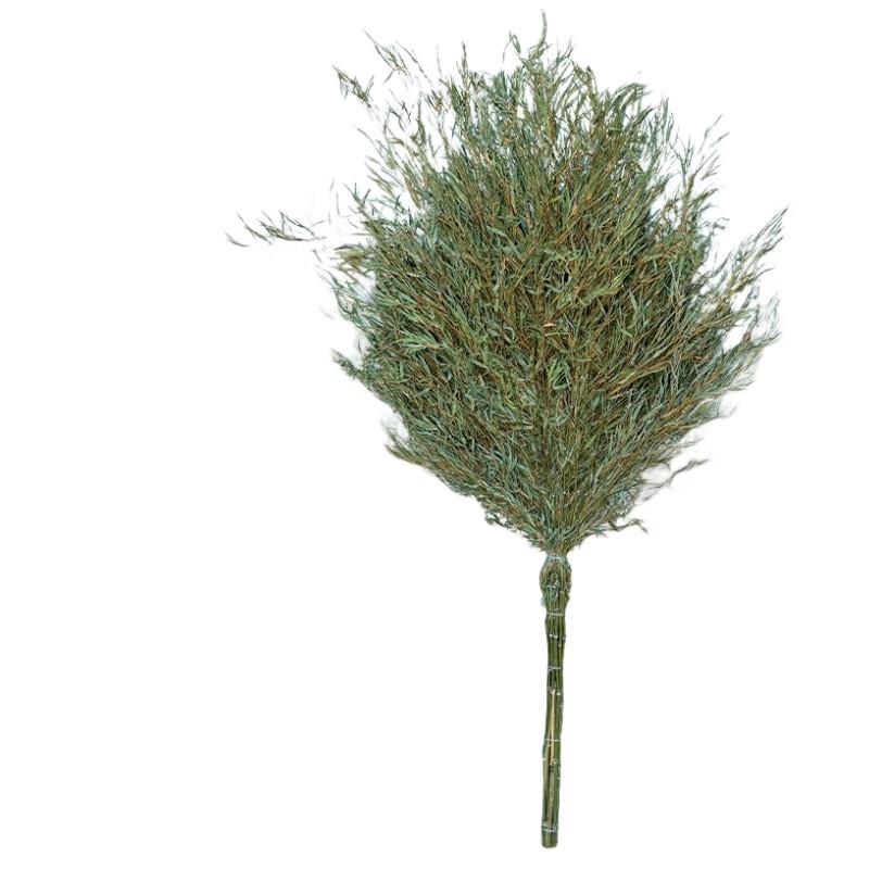 Lijiu Hong Household Bamboo Broom