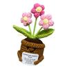 92MF Customizable Cotton Crochet Potted Plant Set Beginner Craft for Home Styling