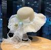 Bow Flower Big Brim Beach Straw Hat Women Spring and Summer New Seaside Sunshade Sun Hat Tide
