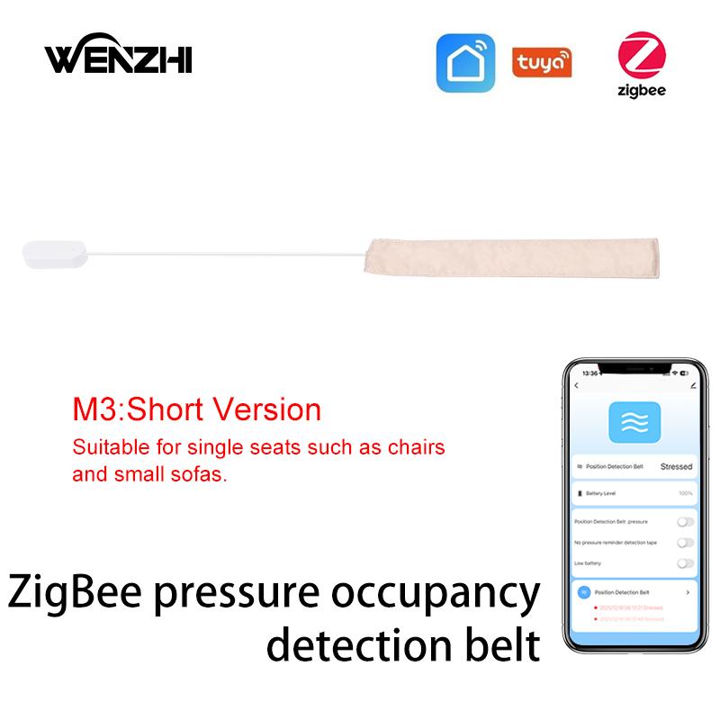 Zigbee Pressure Senor Occupancy/Presence Detector Stress Belt Hidden In Bed/Sofa Battery Powered Tuya Smart Life Home Automation M3(Short)