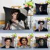 T-Timothee Anime ChalametS Cushion Cover Pillowcase Upholstery Sofa Throw Pillow Home Decor Pillowcas
