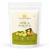 Shuddha Sattva Amla Kernloses Pulver - Reife Indische Stachelbeere | 100g | Ohne Zusatzstoffe | Ohne Konservierungsstoffe | Reich an Vitamin C | Zum Trinken, für Haare & Ski
