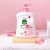 Dettol Moisturizing Peach Blossom Hand Wash Twin Pack